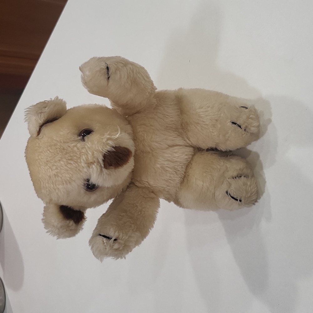 Superior and Novelty Inc bear